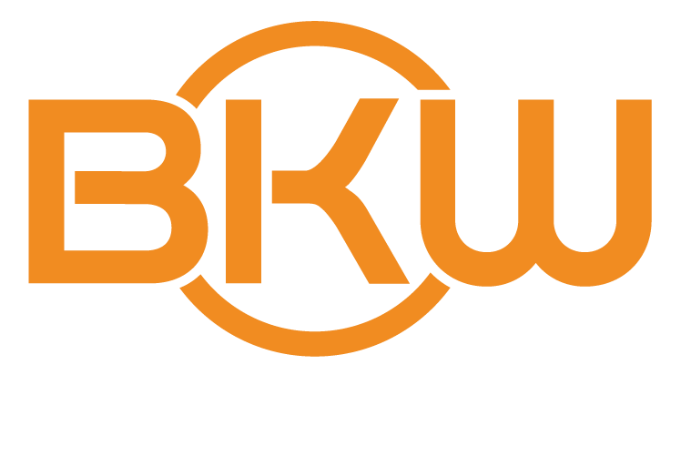 Bkw Instruments Limited About us